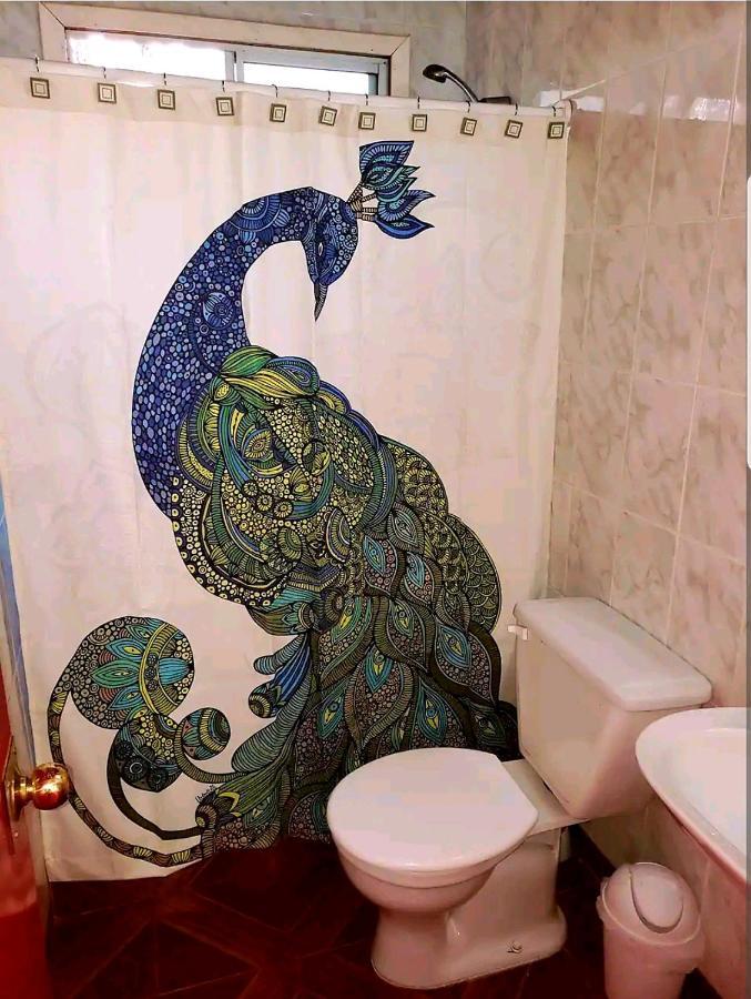 Cabana Con Tinaja Caliente, Quincho Y Pet Friendly Исла-Негра Экстерьер фото