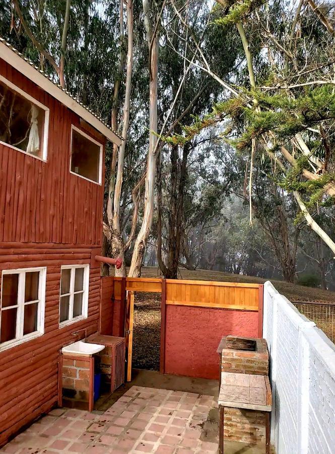 Cabana Con Tinaja Caliente, Quincho Y Pet Friendly Исла-Негра Экстерьер фото